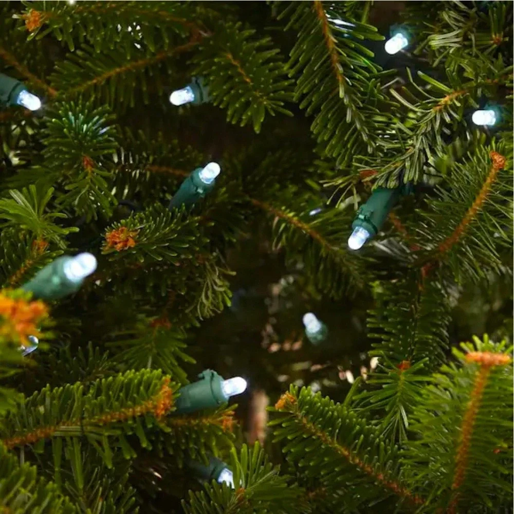 Home Accents Holiday 200 Cool White Dome LED Lights 58 ft Green Wire In/Outdoor‎